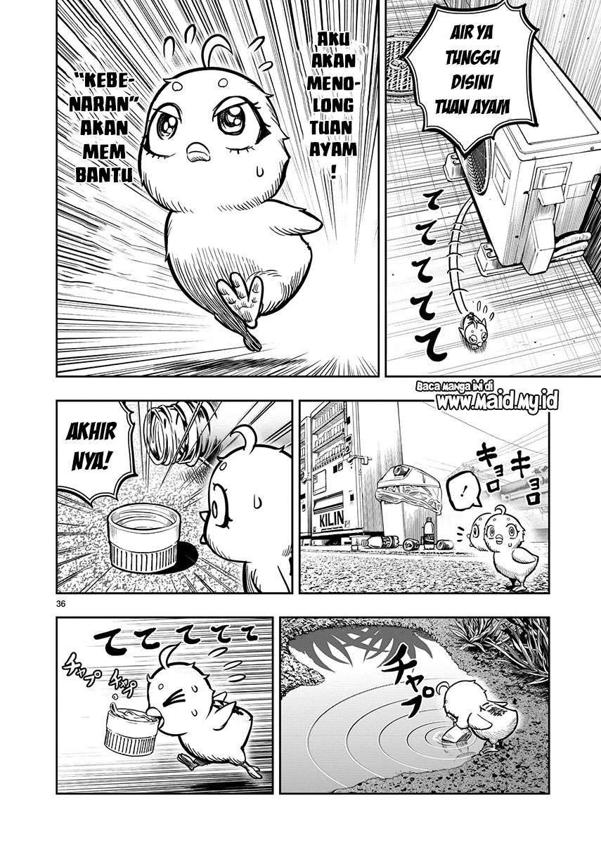 rooster-fighter - Chapter: 6