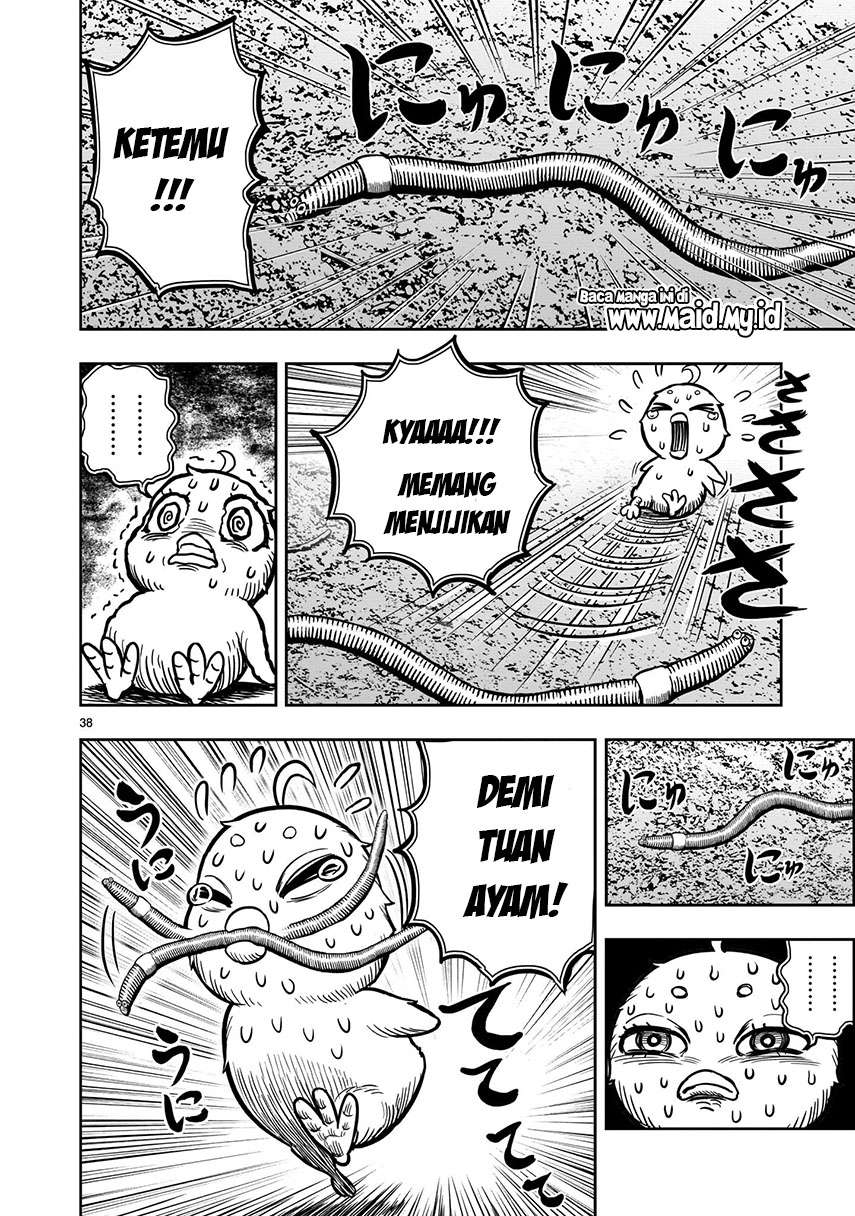 rooster-fighter - Chapter: 6