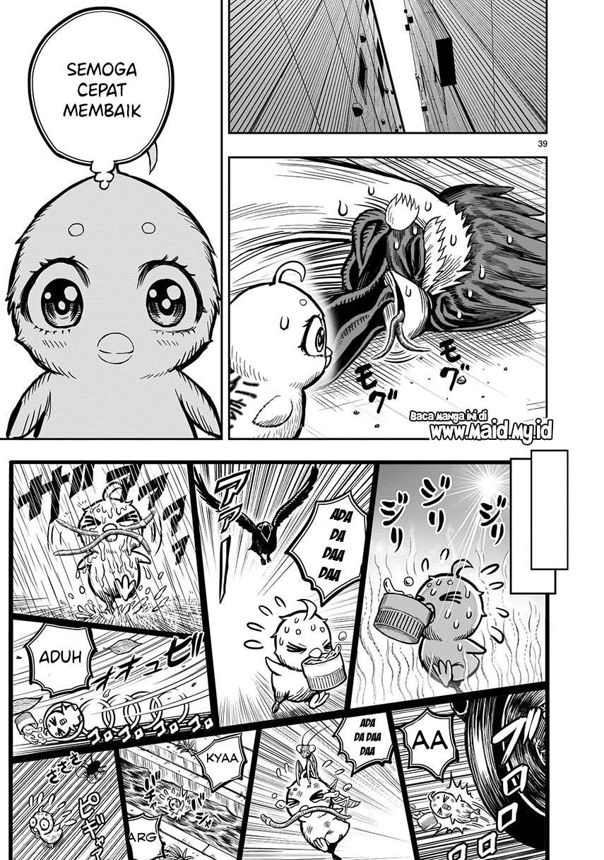 rooster-fighter - Chapter: 6