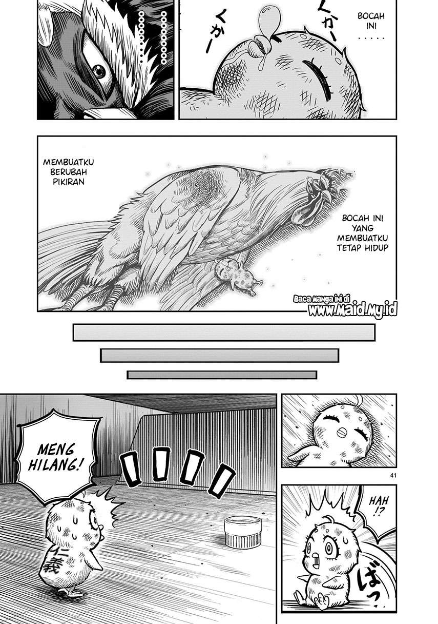 rooster-fighter - Chapter: 6