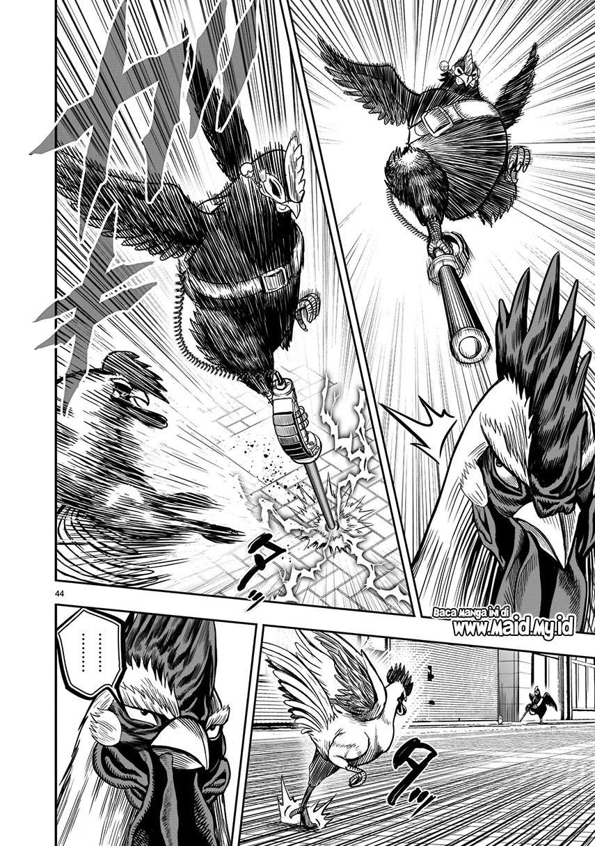 rooster-fighter - Chapter: 6