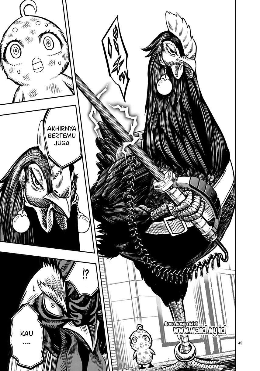 rooster-fighter - Chapter: 6