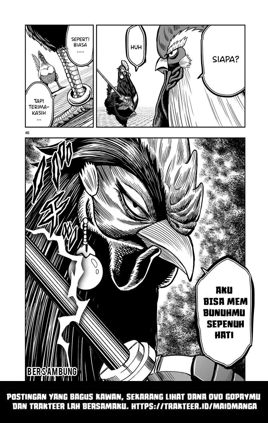 rooster-fighter - Chapter: 6
