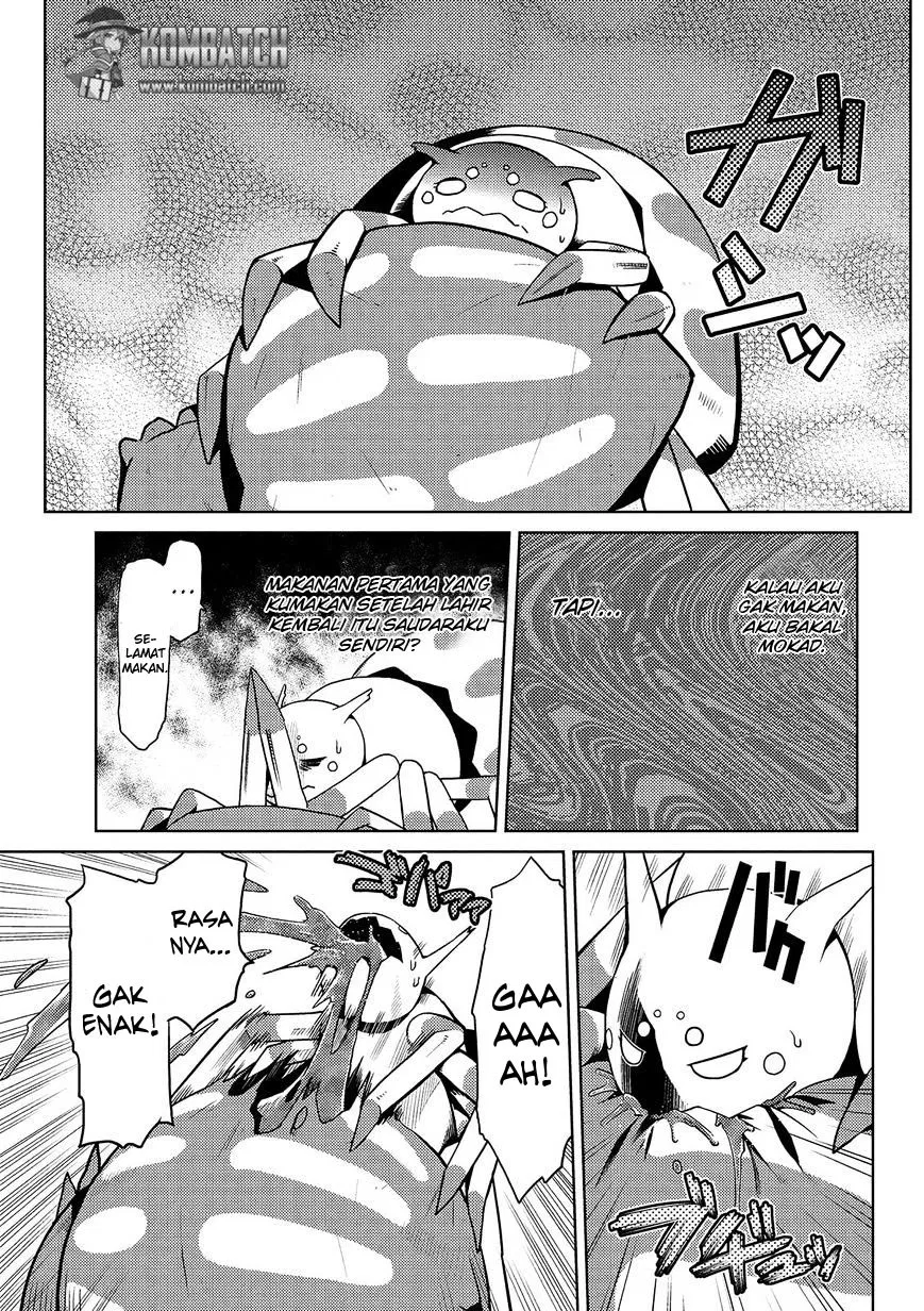kumo-desu-ga-nani-ka - Chapter: 01.5
