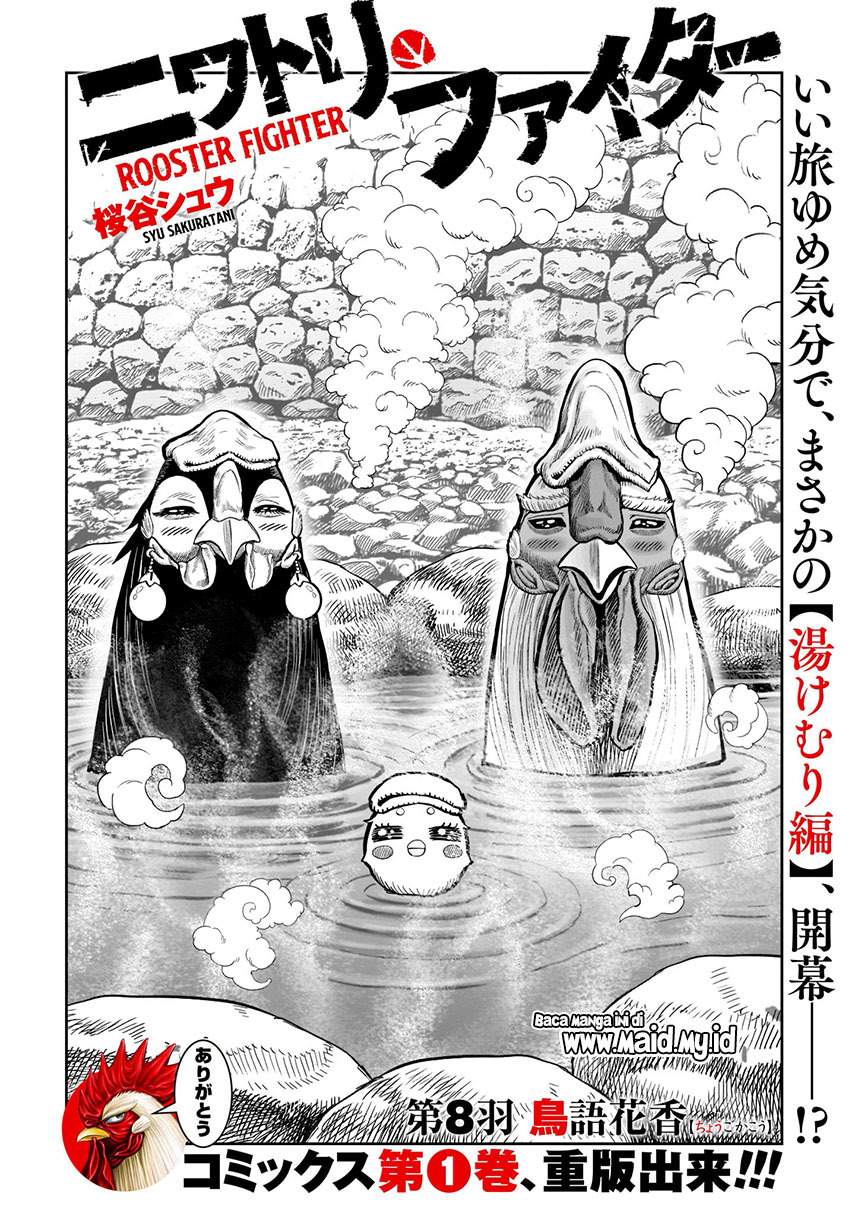 rooster-fighter - Chapter: 8