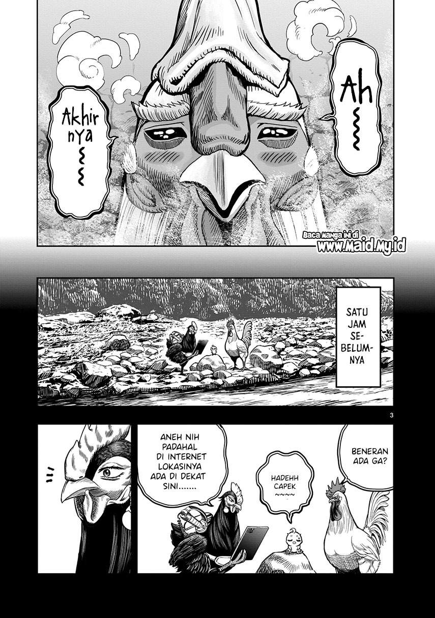 rooster-fighter - Chapter: 8