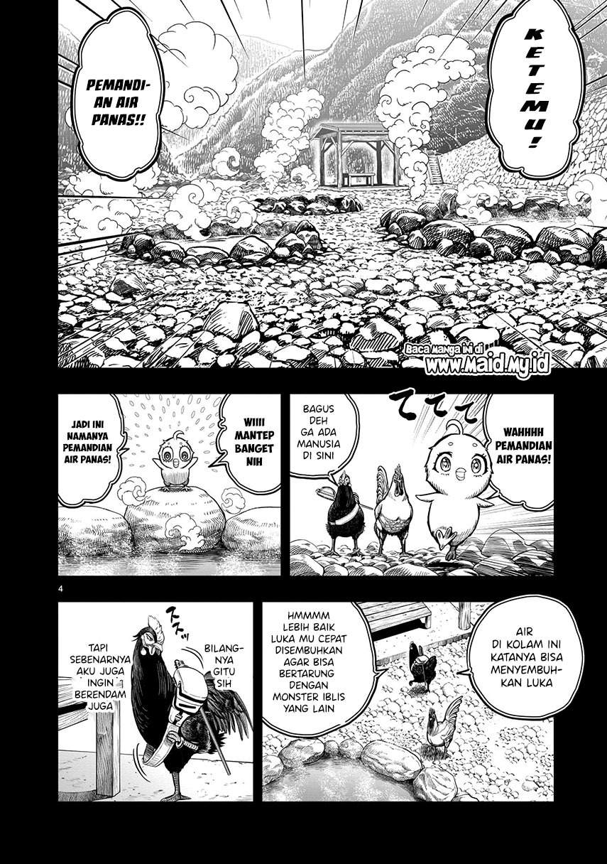 rooster-fighter - Chapter: 8
