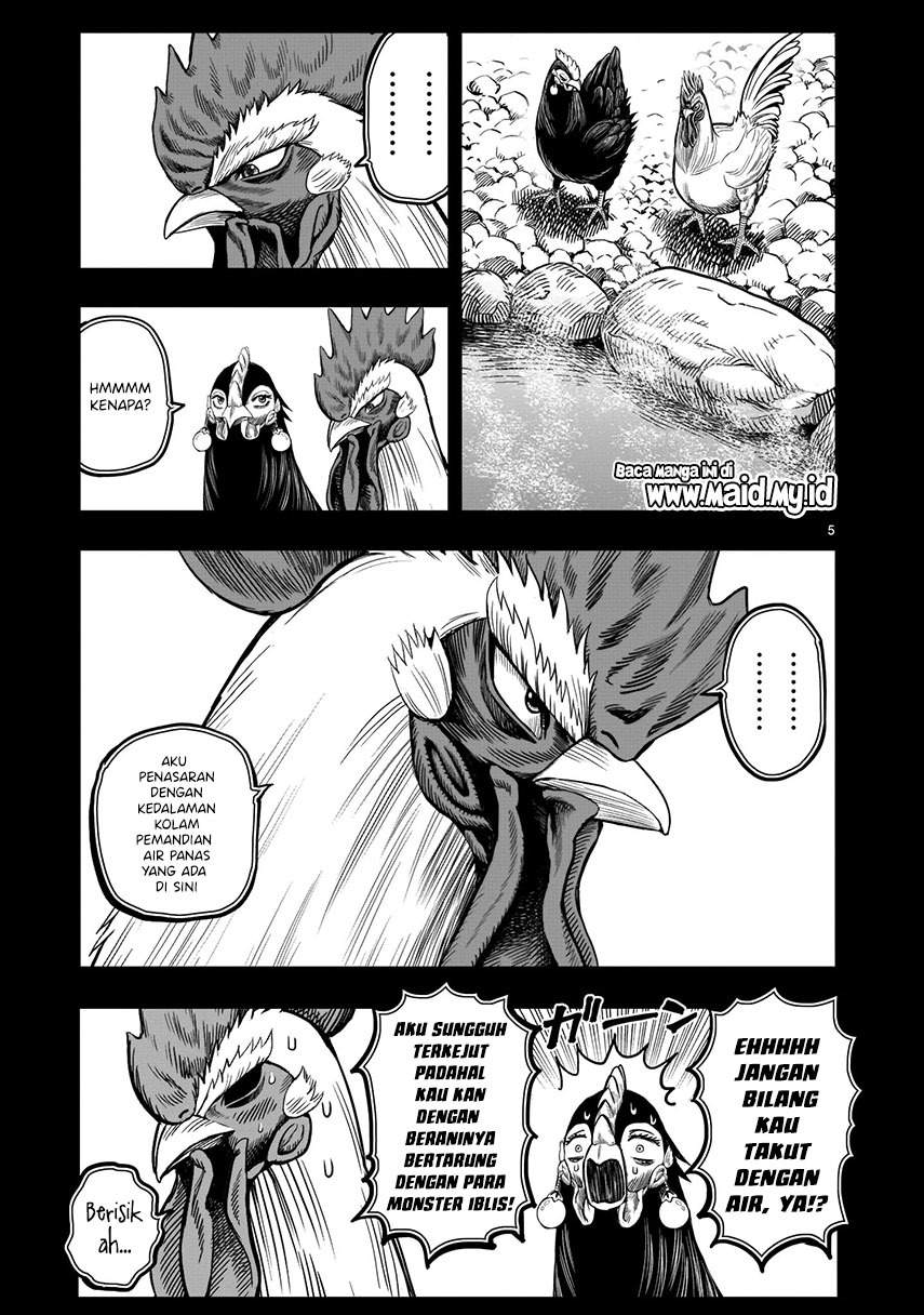 rooster-fighter - Chapter: 8