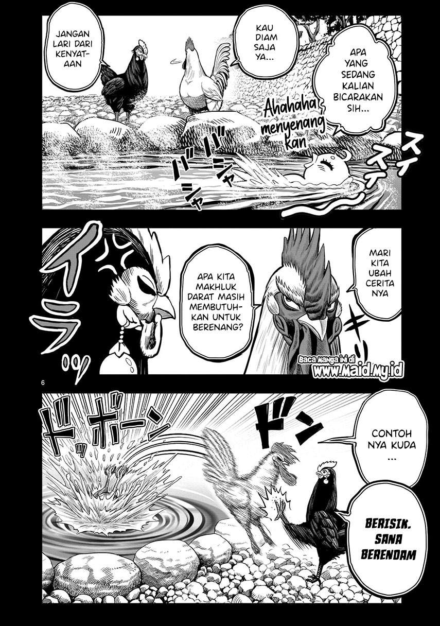 rooster-fighter - Chapter: 8
