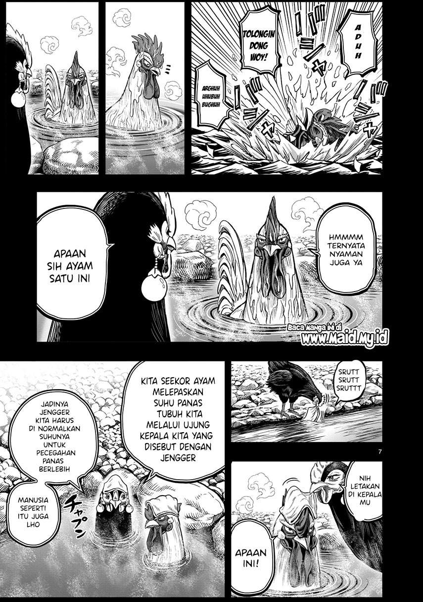 rooster-fighter - Chapter: 8