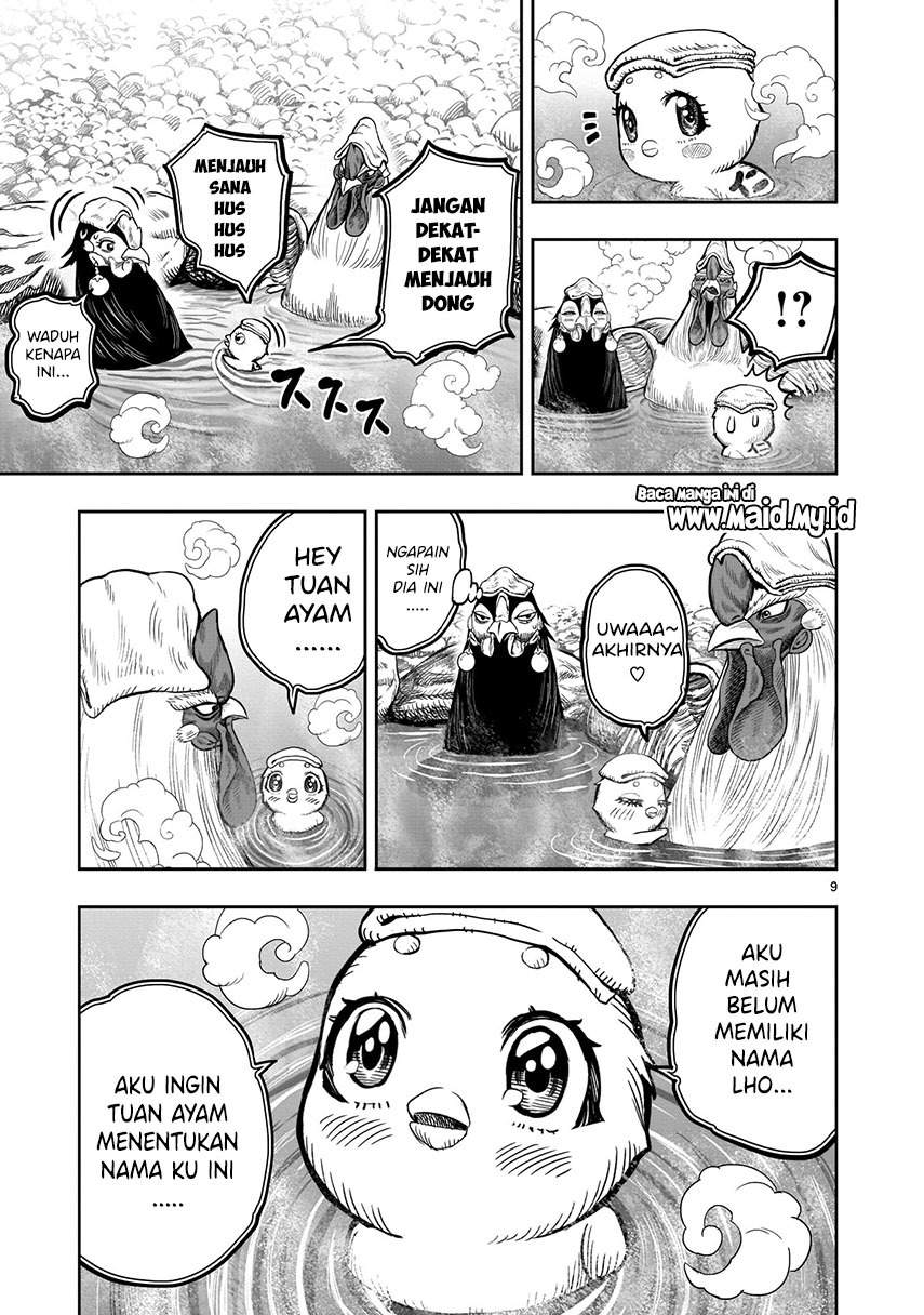 rooster-fighter - Chapter: 8