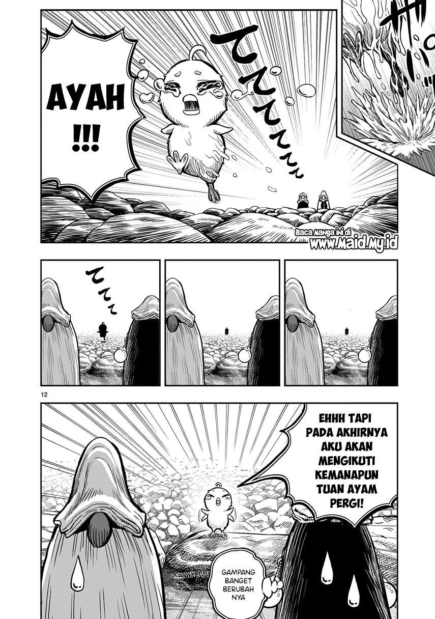 rooster-fighter - Chapter: 8