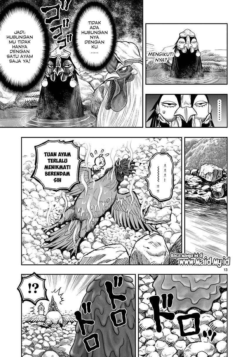 rooster-fighter - Chapter: 8