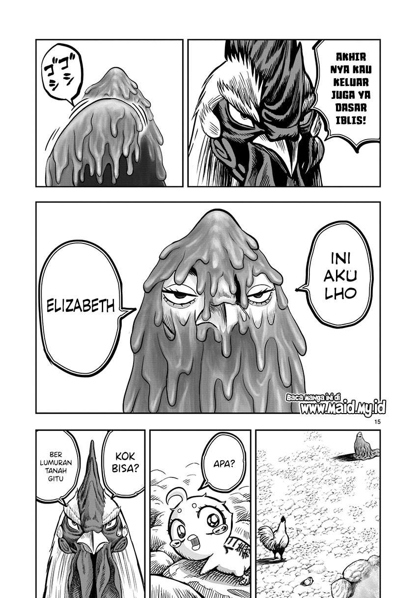 rooster-fighter - Chapter: 8