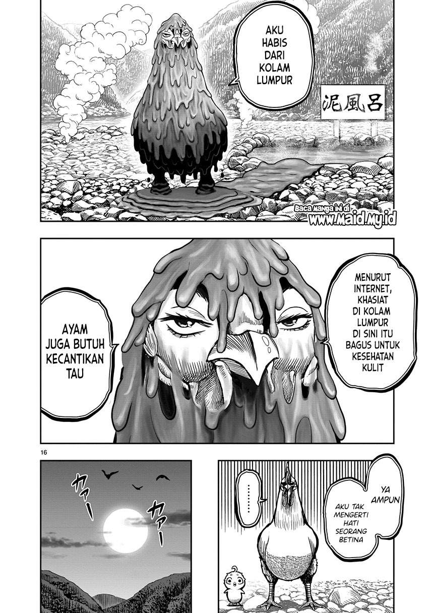 rooster-fighter - Chapter: 8