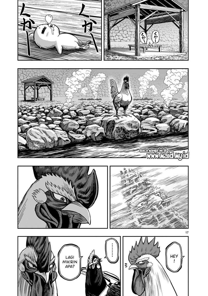 rooster-fighter - Chapter: 8