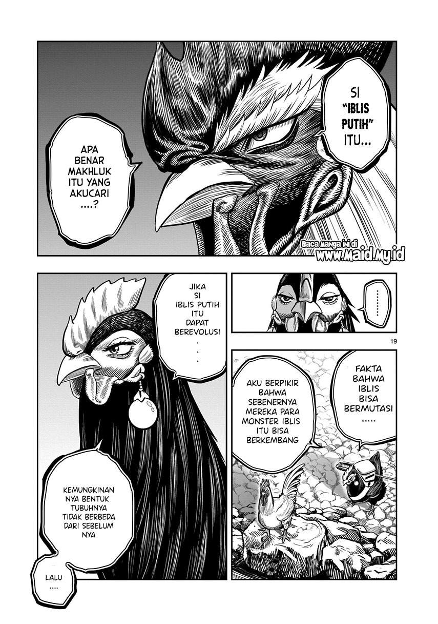 rooster-fighter - Chapter: 8