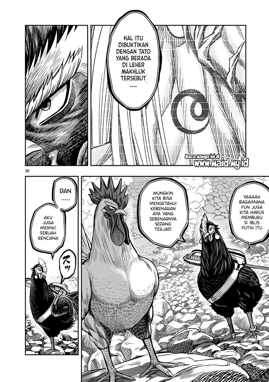 rooster-fighter - Chapter: 8