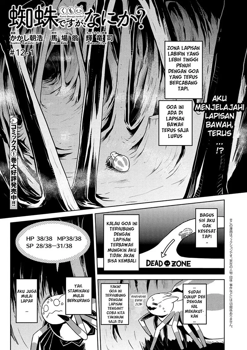 kumo-desu-ga-nani-ka - Chapter: 12.1