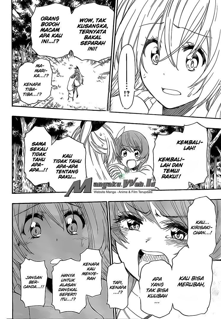 nisekoi - Chapter: 224