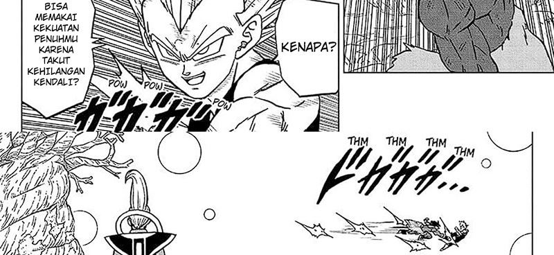 dragon-ball-super - Chapter: 101