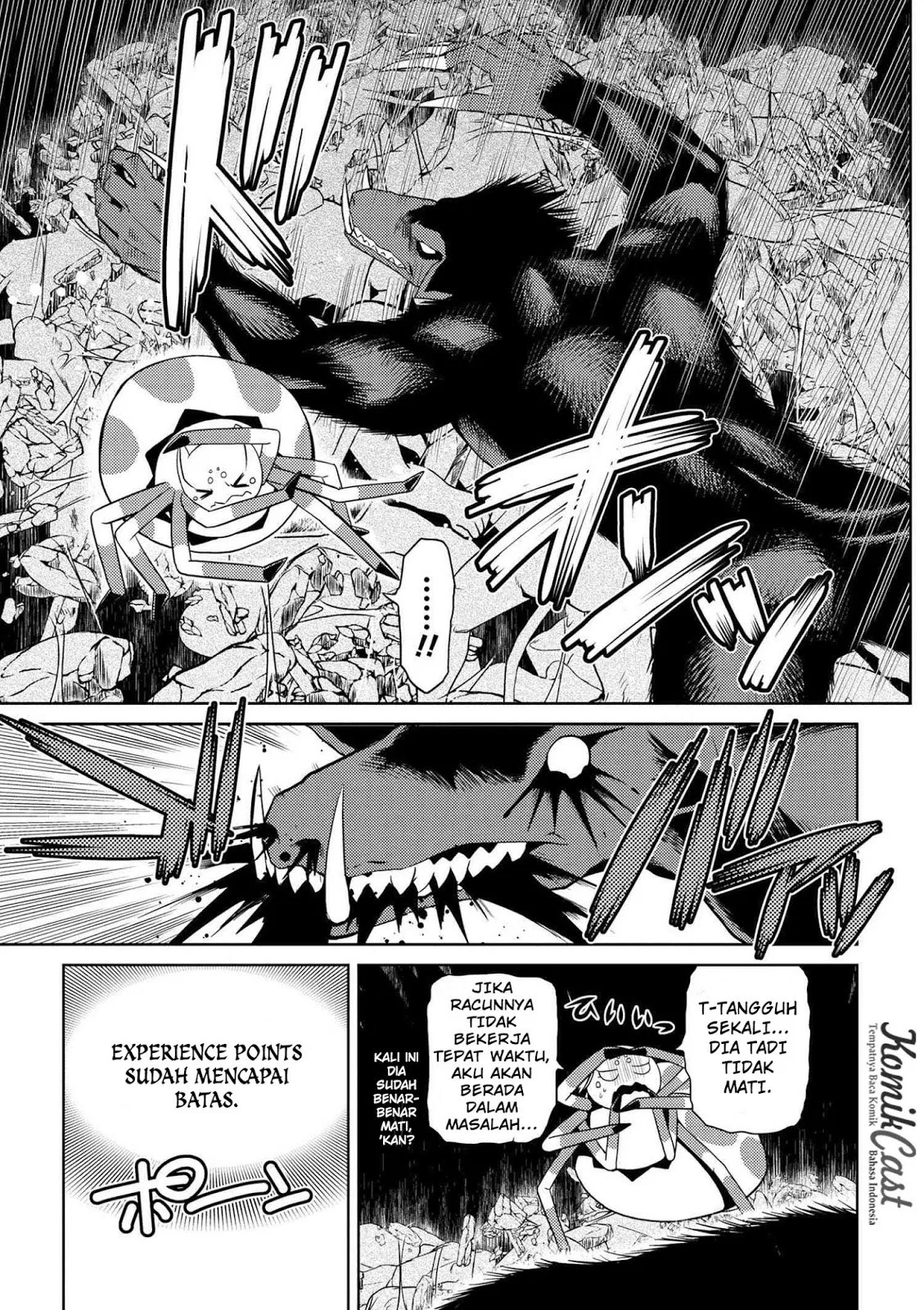 kumo-desu-ga-nani-ka - Chapter: 14.4