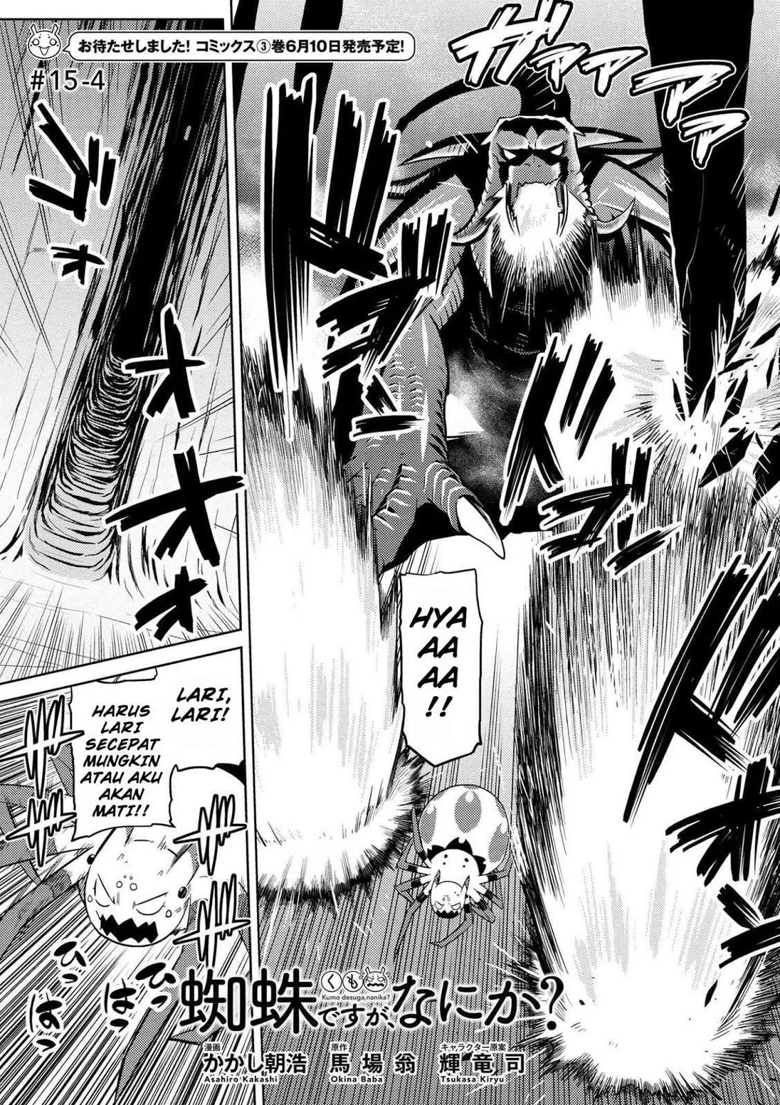 kumo-desu-ga-nani-ka - Chapter: 15.4
