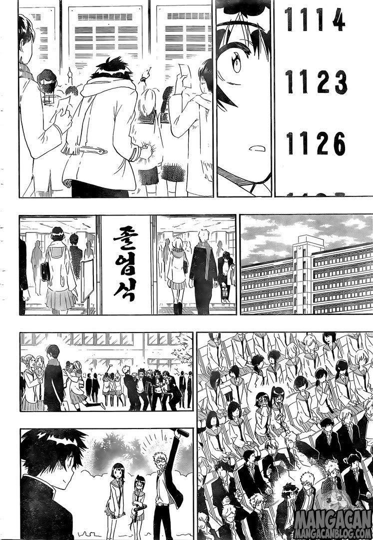 nisekoi - Chapter: 228