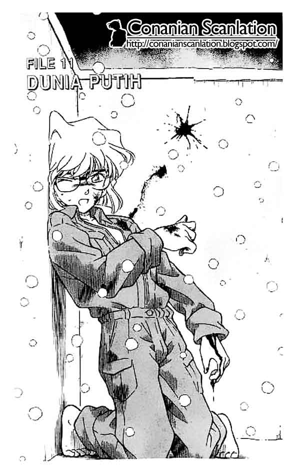 detective-conan - Chapter: 242