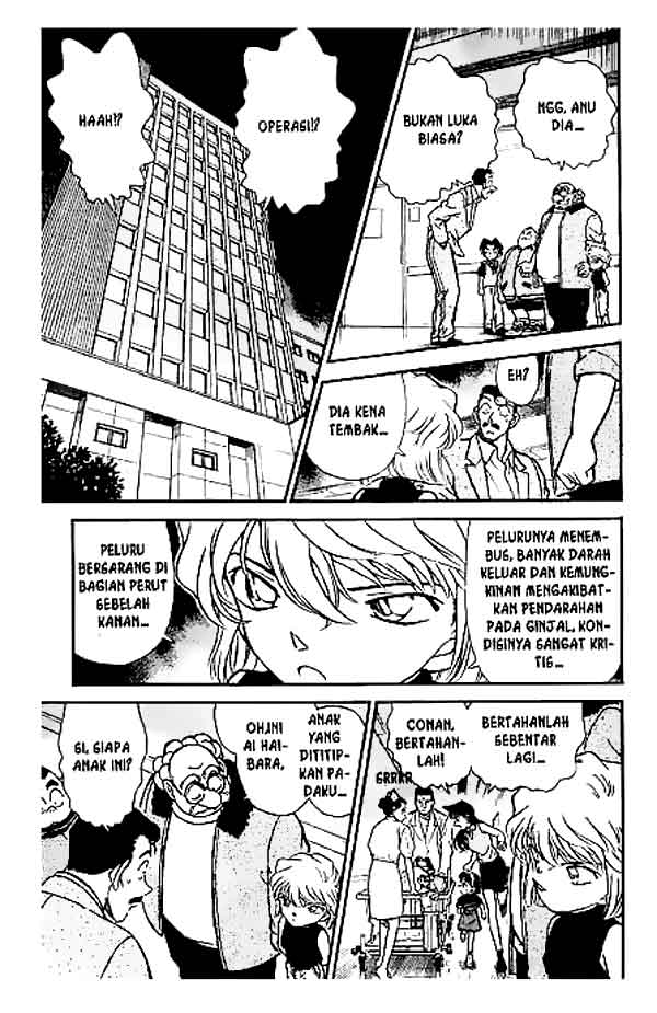 detective-conan - Chapter: 253