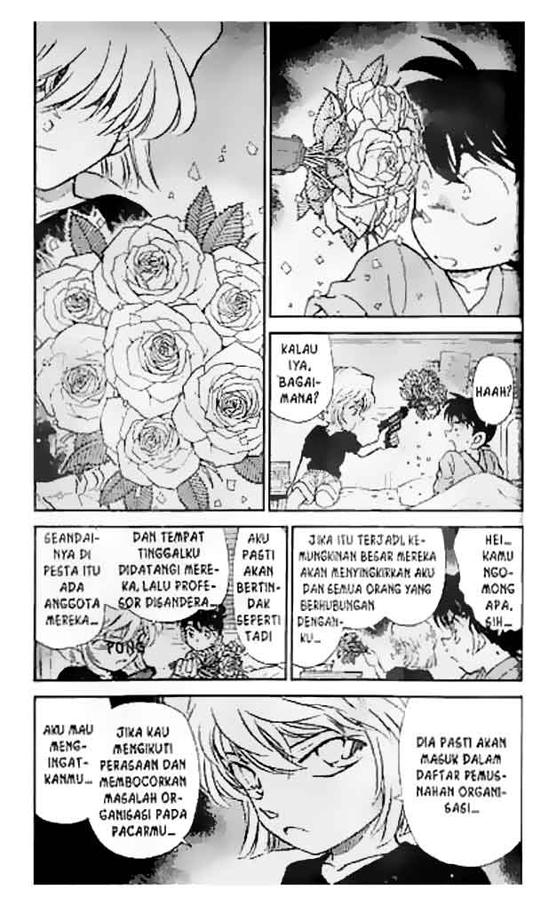 detective-conan - Chapter: 255