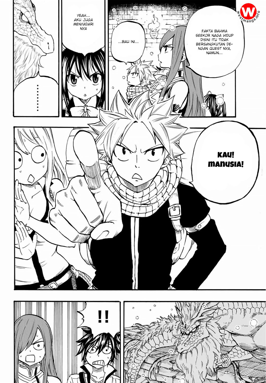 fairy-tail-100-years-quest - Chapter: 2