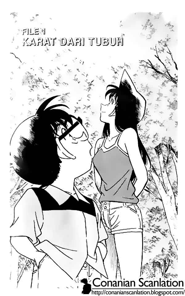 detective-conan - Chapter: 264