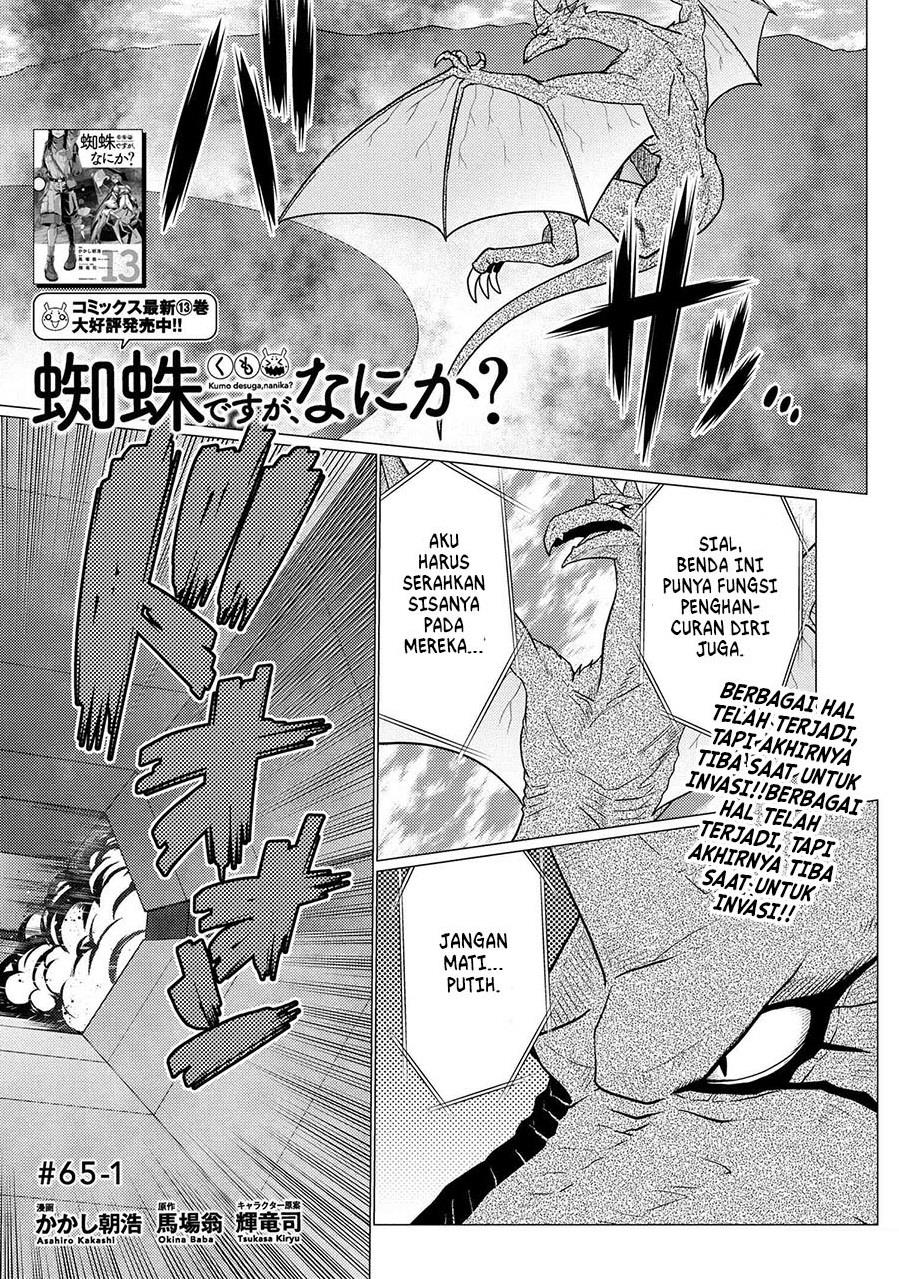 kumo-desu-ga-nani-ka - Chapter: 65.1
