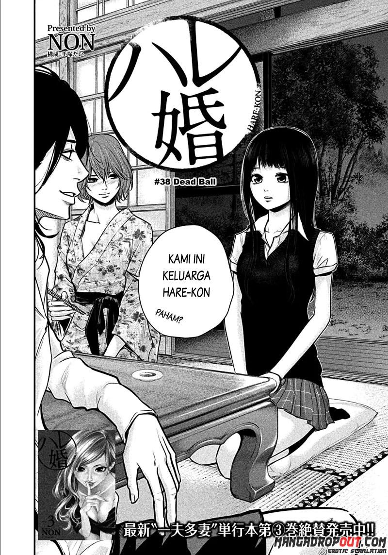 hare-kon - Chapter: 38