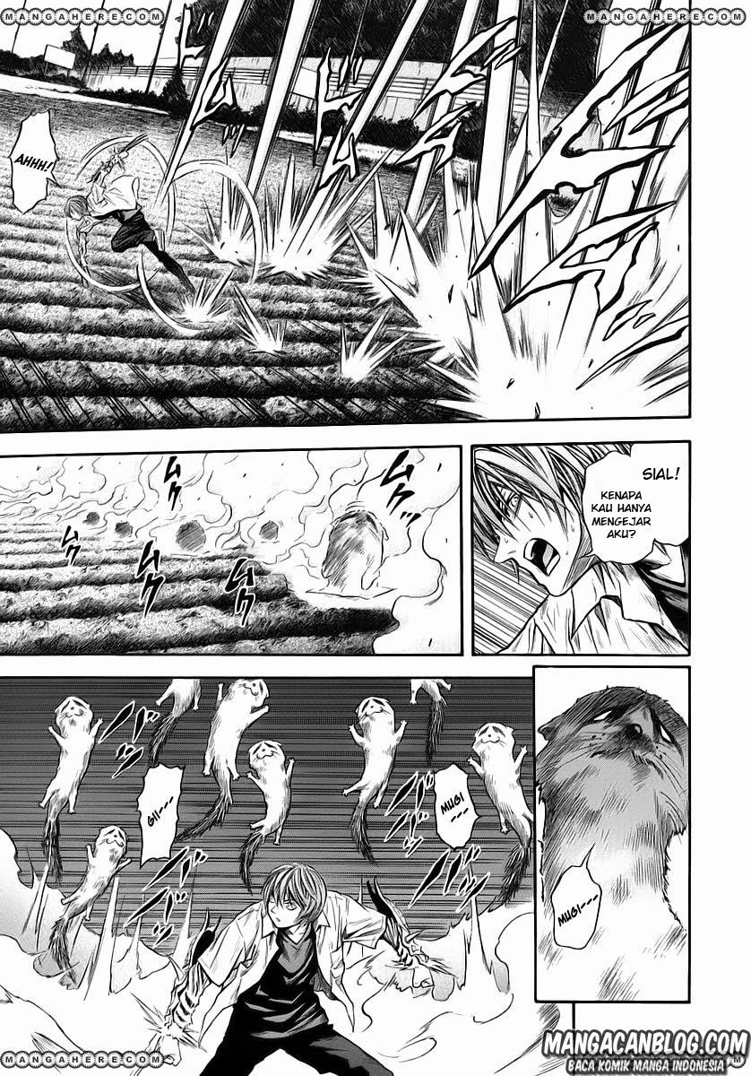 otogi-matsuri - Chapter: 46