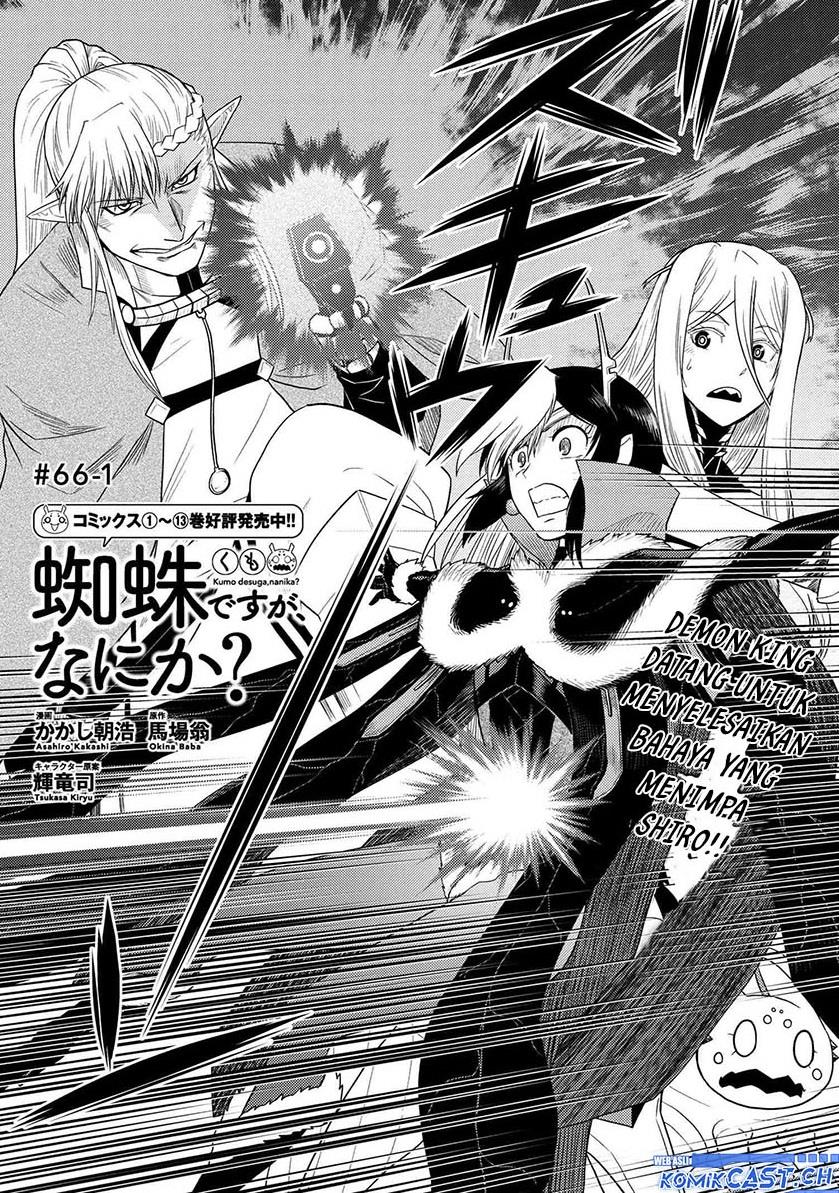 kumo-desu-ga-nani-ka - Chapter: 66.1