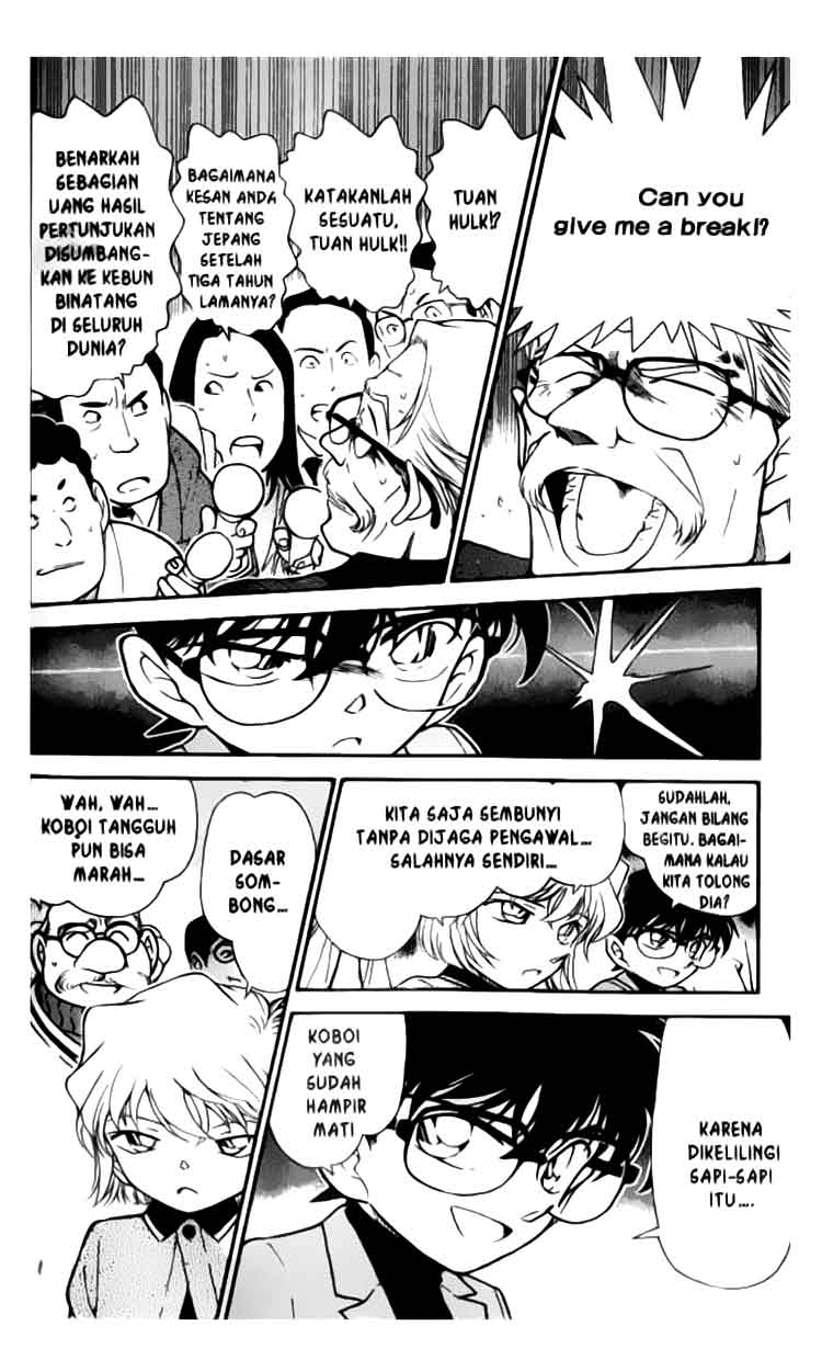 detective-conan - Chapter: 325