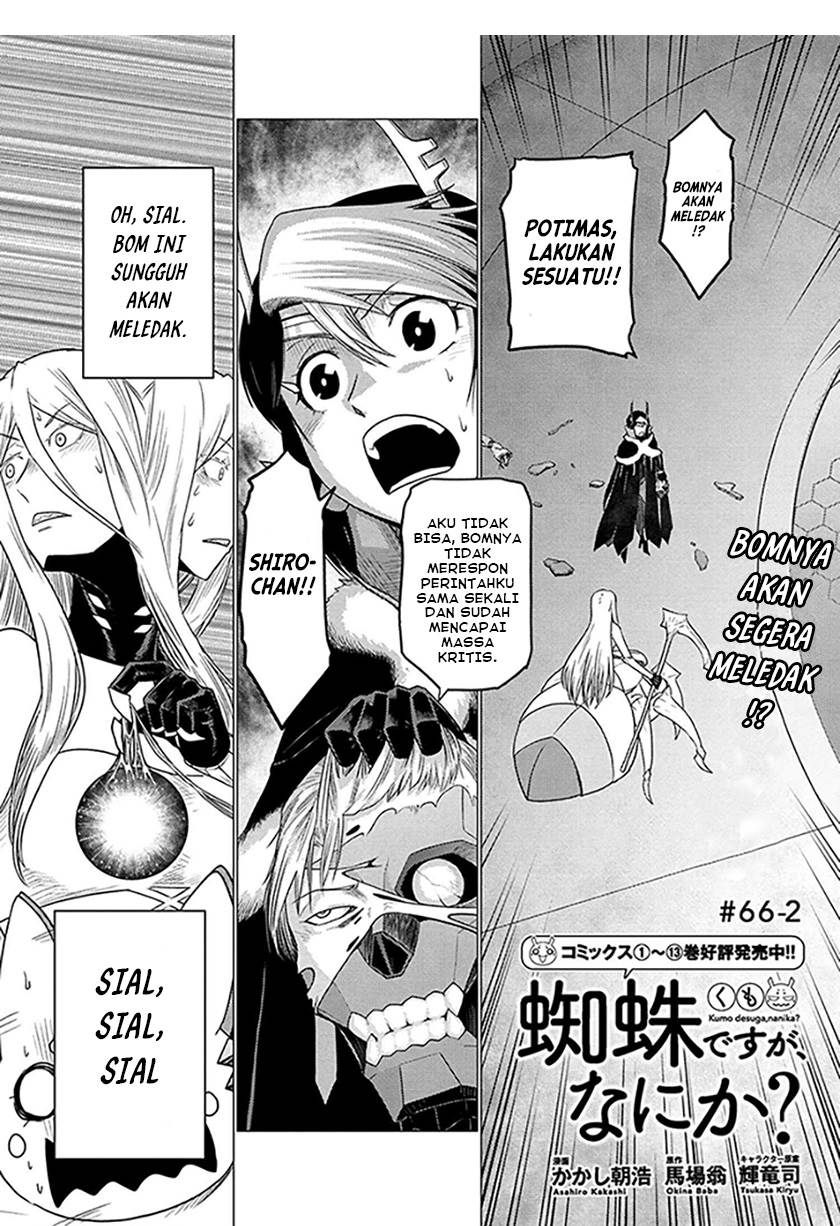 kumo-desu-ga-nani-ka - Chapter: 66.2