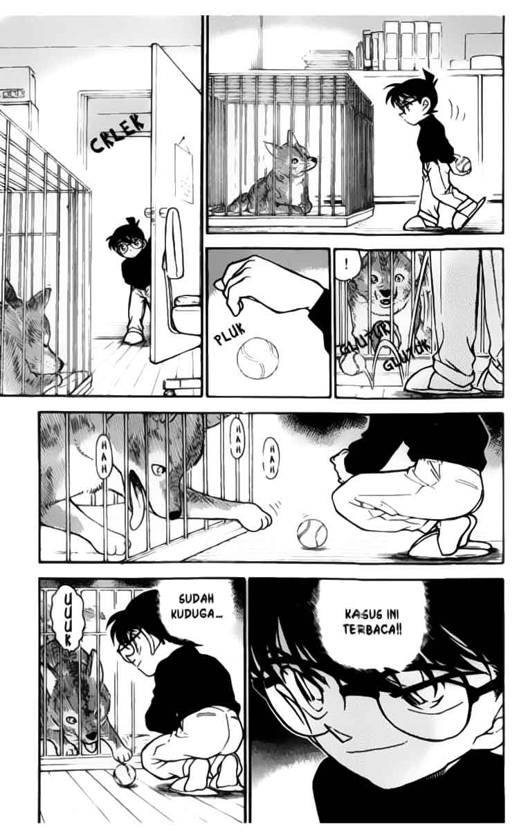 detective-conan - Chapter: 333