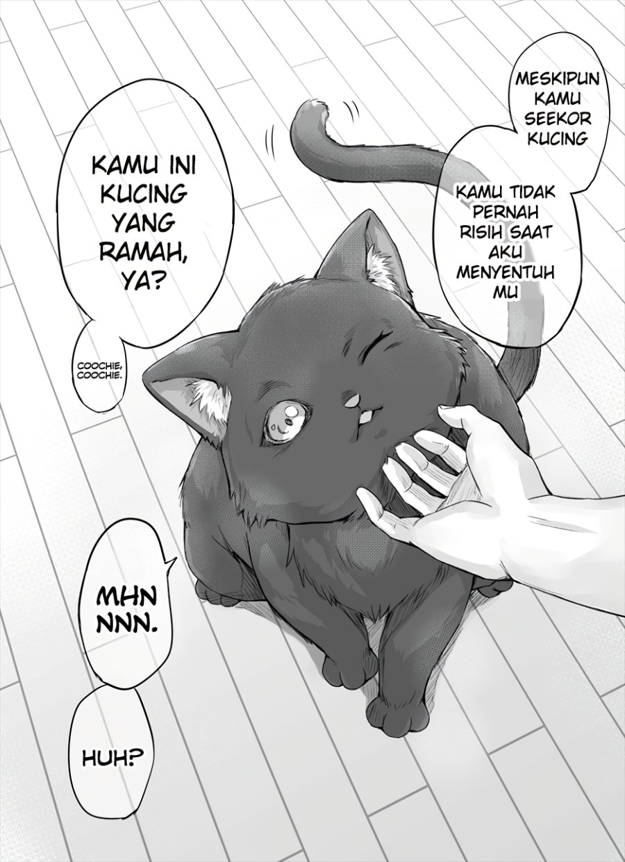 the-yandere-pet-cat-is-overly-domineering - Chapter: 2