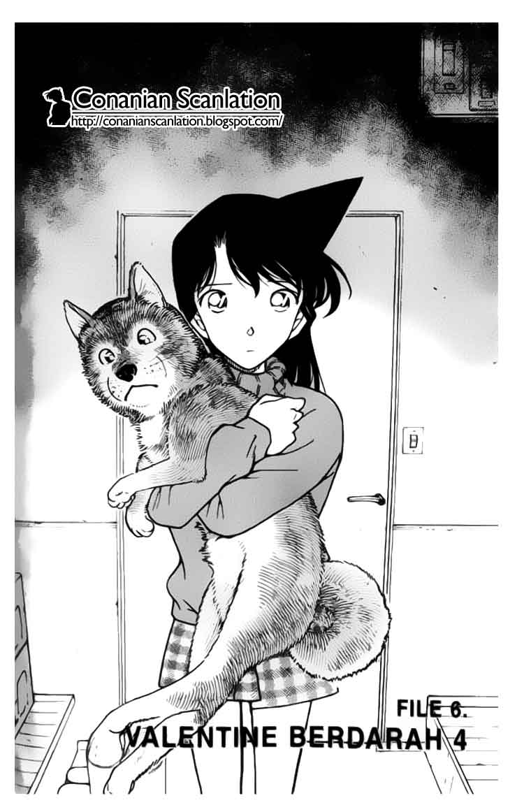 detective-conan - Chapter: 334
