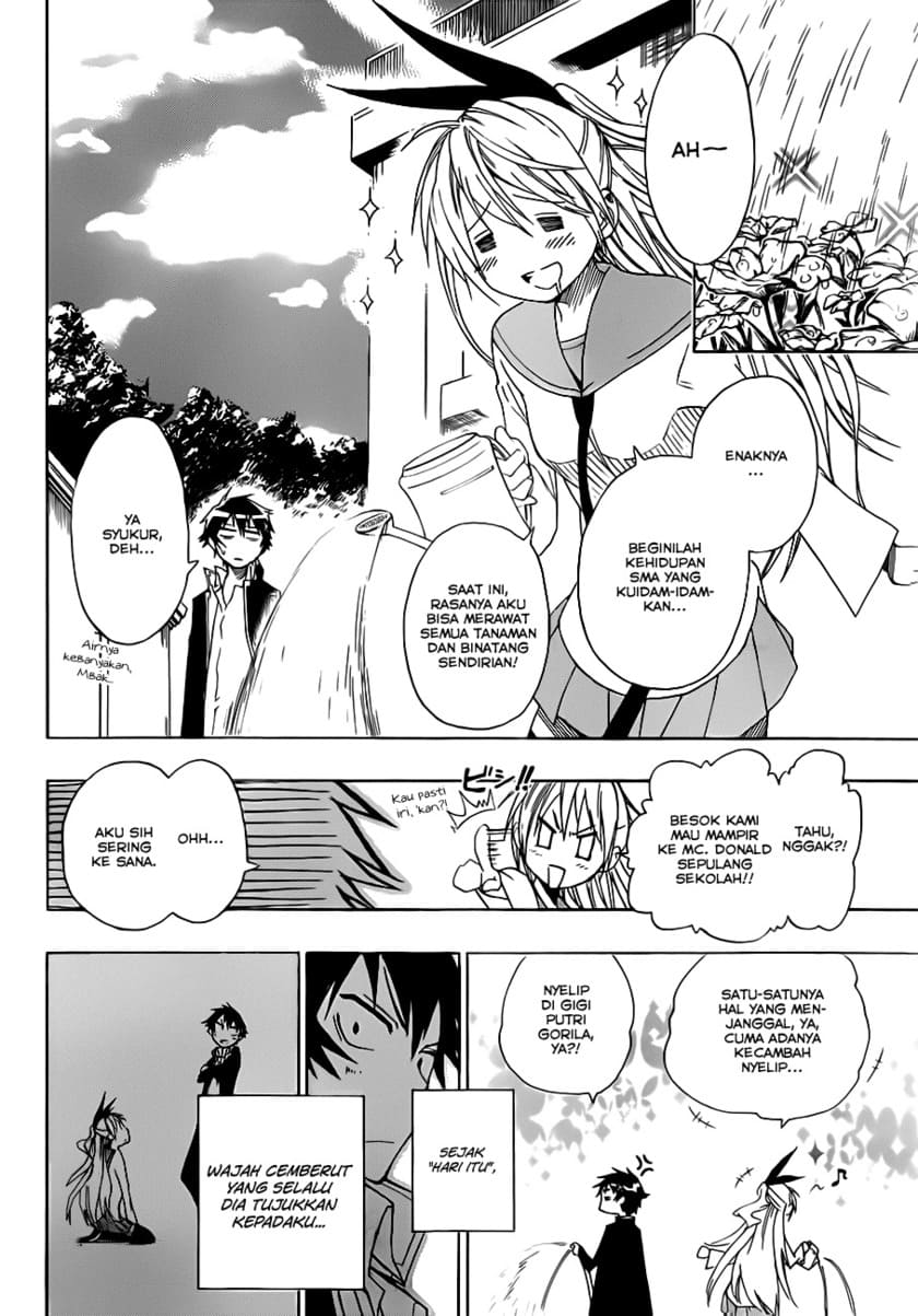 nisekoi - Chapter: 8