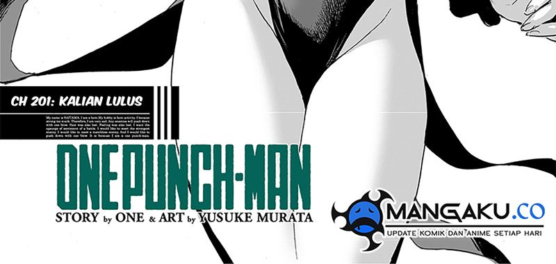 one-punch-man - Chapter: 252.10 (201.5)