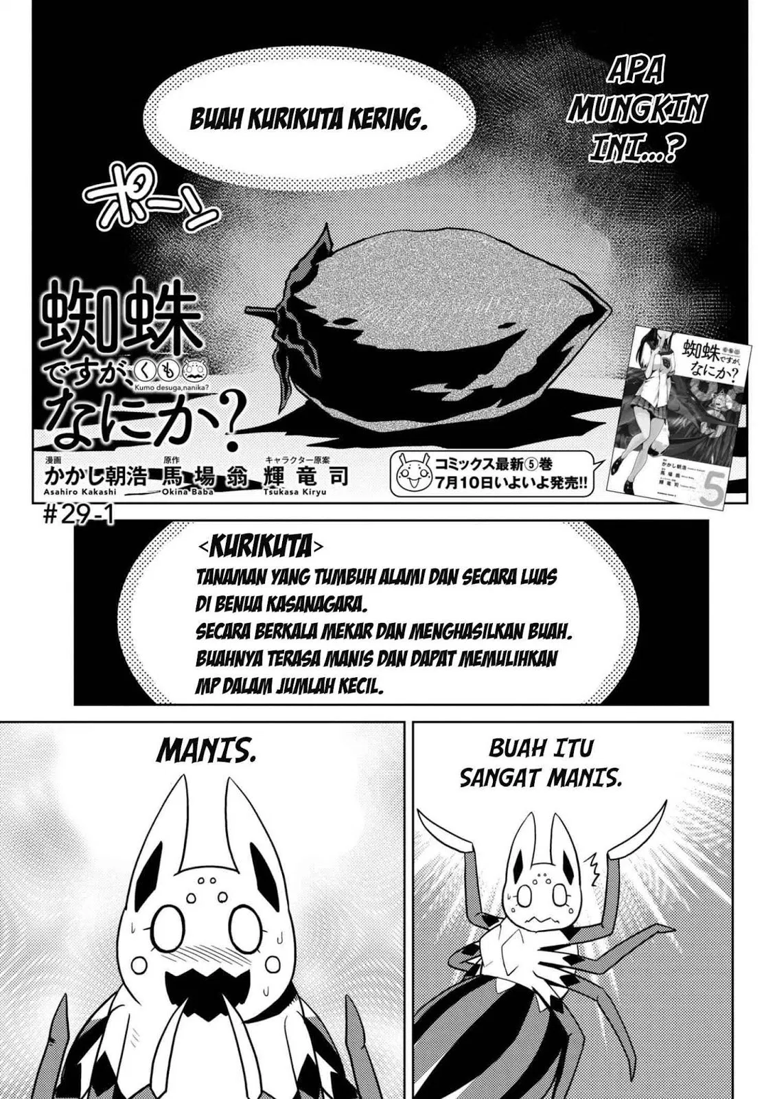 kumo-desu-ga-nani-ka - Chapter: 29.1