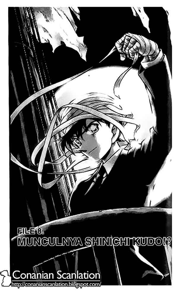 detective-conan - Chapter: 432