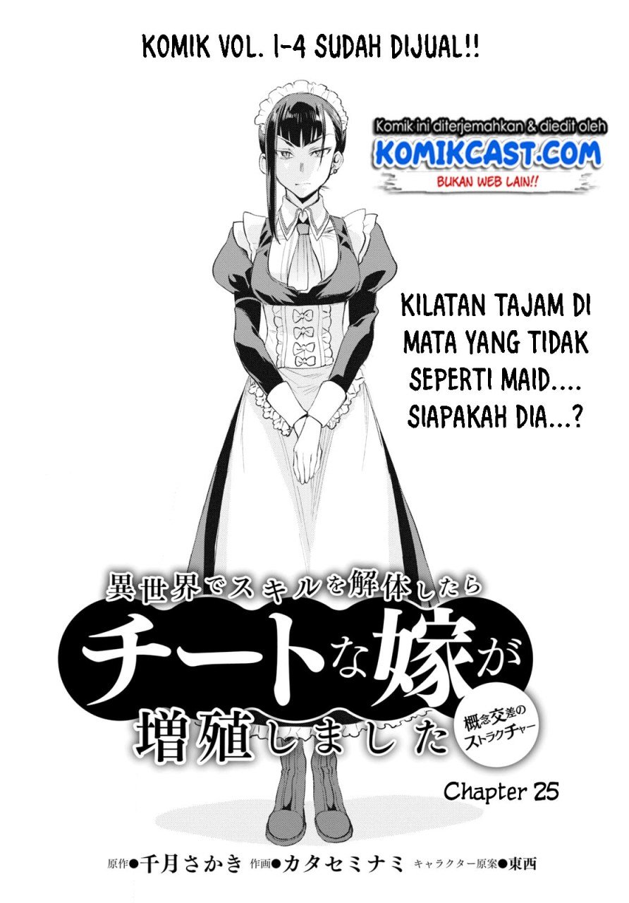 isekai-de-skill-wo-kaitai-shitara-cheat-na-yome-ga-zoushoku-shimashita-gainen-kousa-no-structure - Chapter: 25