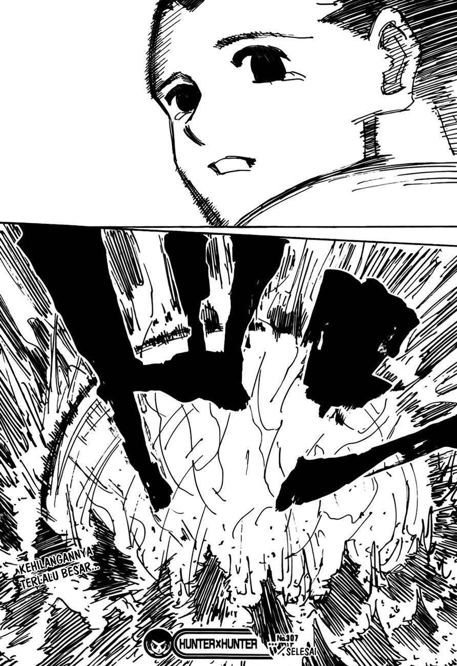 hunter-x-hunter - Chapter: 307