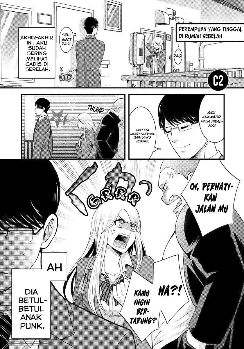 saenai-riman-to-yankee-joshi-kousei - Chapter: 2