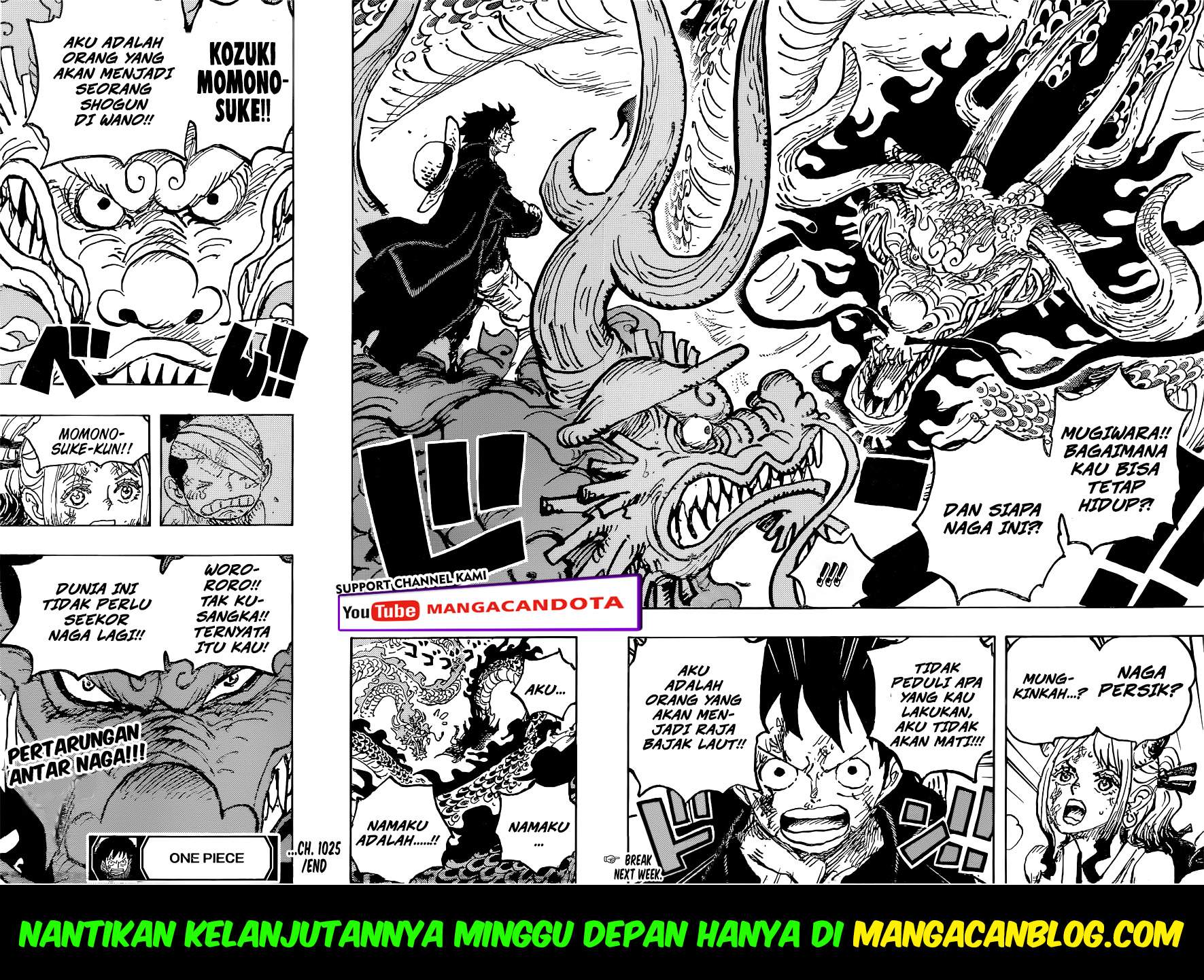 one-piece-id - Chapter: 1025